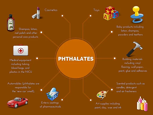 Common Phthalate Sources