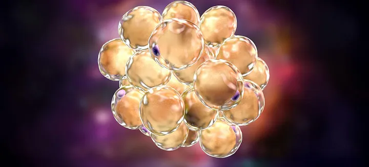 The findings of this study reveal how cysteine disrupts cellular processing